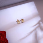 Load image into Gallery viewer, Elegant Clover Charm Necklace Set